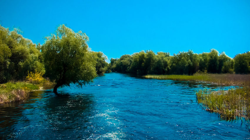 Amenajarea mini-deltei de la Tulcea ar putea primi undă verde anul acesta