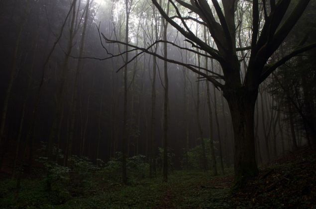 Locul din România prezent în Top 5 cele mai înspăimântătoare din lume