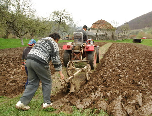 Ajutor de stat de 162 de milioane de lei, pentru motorina utilizată în agricultură