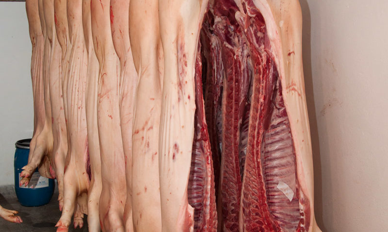 Românii manâncă, de Crăciun, UN MILION de porci