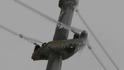 Mai multe localităţi dobrogene fără curent electric