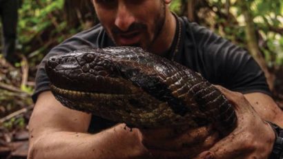 (VIDEO) Experiment Discovery: bărbat (aproape) înghiţit de viu de un anaconda!