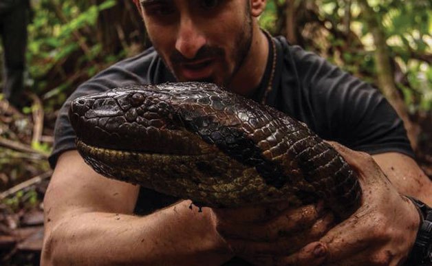 (VIDEO) Experiment Discovery: bărbat (aproape) înghiţit de viu de un anaconda!