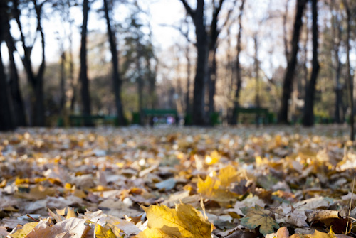 Ne aşteaptă o noapte caldă pentru această perioadă: iată prognoza meteo