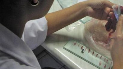 Testarea cărnii de porc din gospodăria proprie, obligatorie