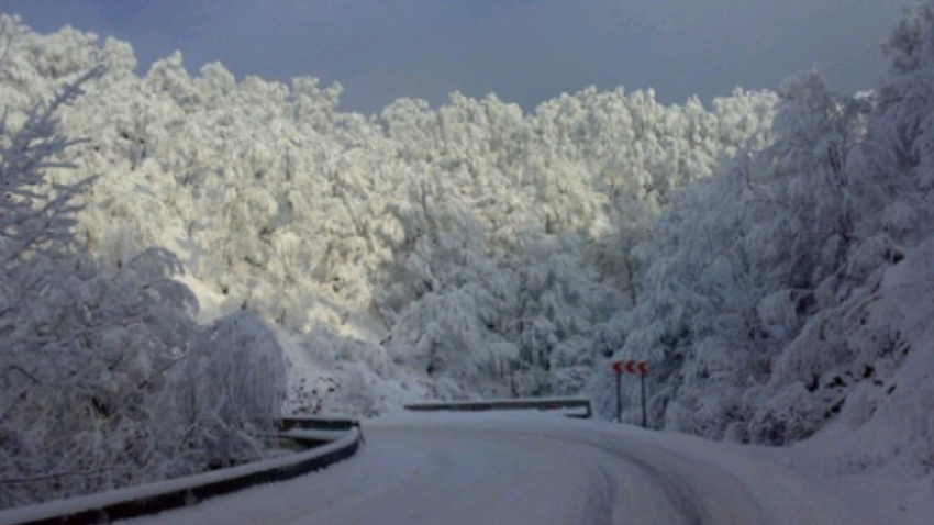 Transalpina a fost redeschisă