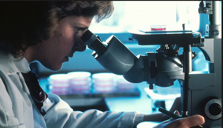 Dispută între oamenii de ştiinţă: cancerul nu este rezultatul hazardului