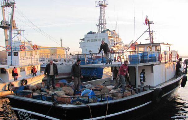Marea Neagră, considerată zonă de risc piscicol din cauza pescadoarelor turceşti