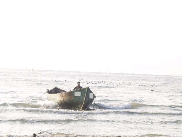 Delta Dunării: COD GALBEN de VÂNT