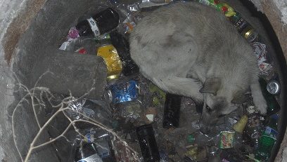 Tragedie în doua zi a anului. Bărbat găsit mort în căminul unui punct termic din Tomis III