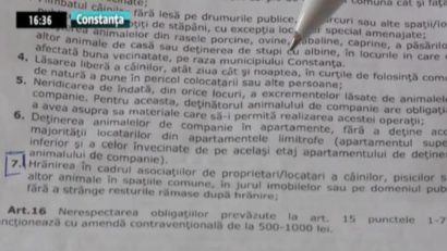 Caz fără precedent la Constanţa: cu gramatica în instanţă!
