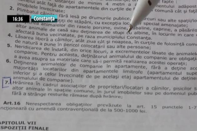 Caz fără precedent la Constanţa: cu gramatica în instanţă!
