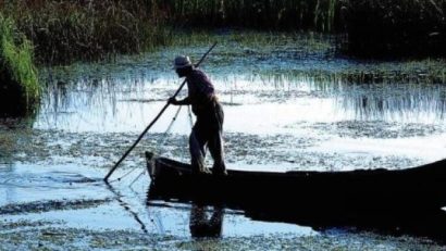 Buget record pentru investiţii în Rezervaţia Delta Dunării