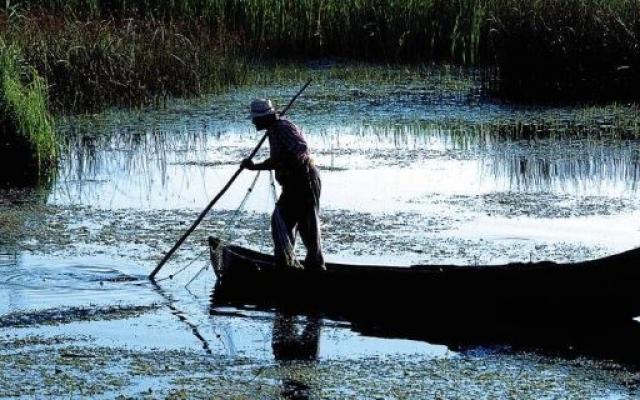 Buget record pentru investiţii în Rezervaţia Delta Dunării