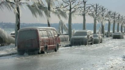 Cod galben de POLEI în Dobrogea
