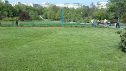 Sănătatea mentală depinde de prezenţa spaţiilor verzi