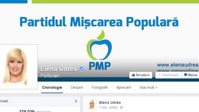 Elena Udrea vs SRI