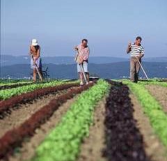 Rentierii agricoli din Dobrogea, chemaţi la sediul A.P.I.A.