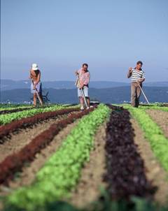 Rentierii agricoli din Dobrogea, chemaţi la sediul A.P.I.A.