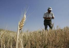 Guvernul schimbă regulile în Agricultură