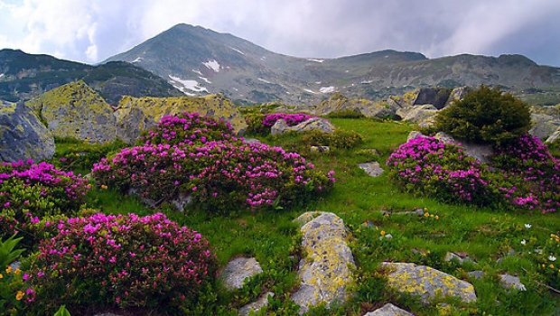 Coaliţia Natura 2000 reclamă fondurile insuficiente pentru ariile protejate