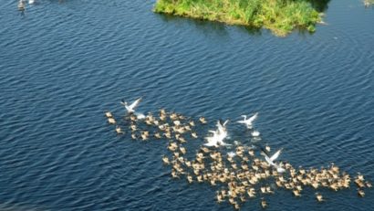 Locuri de muncă în turismul ecologic din localităţile tulcene