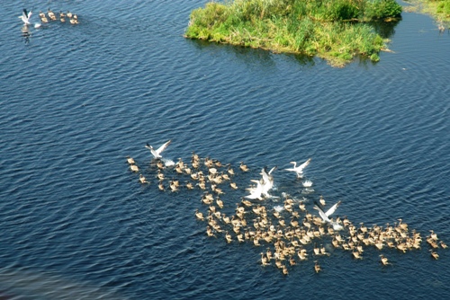 Locuri de muncă în turismul ecologic din localităţile tulcene