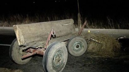 TULCEA: Accident cu căruțaș beat