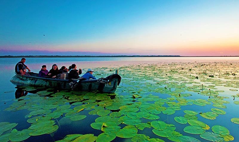 Cursuri de ghid în Delta Dunării