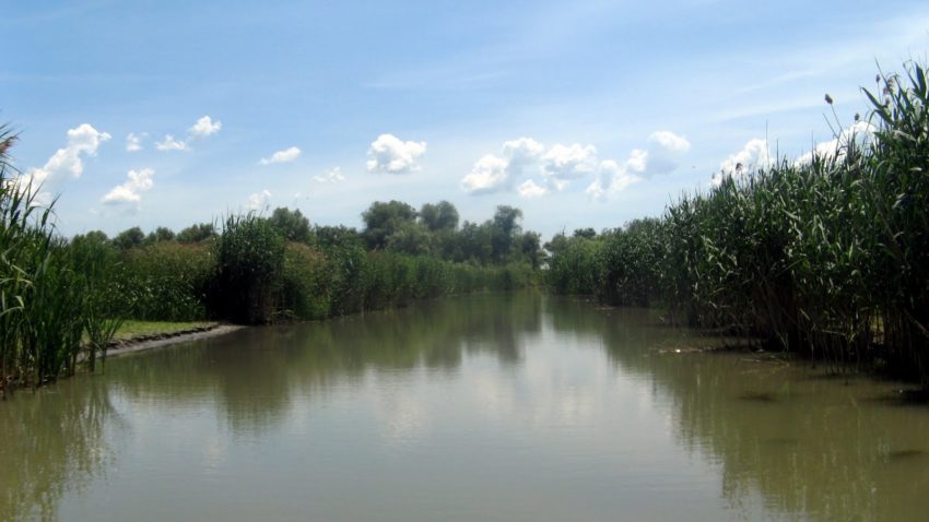TULCEA: Un catarg uriaş indică prezenţa unui sat pescăresc tradiţional