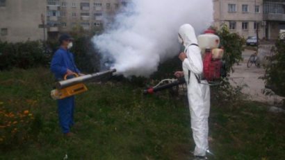 MEDGIDIA: Atenție părinți și proprietari de animale de companie. Începe o acțiune de dezinsecție