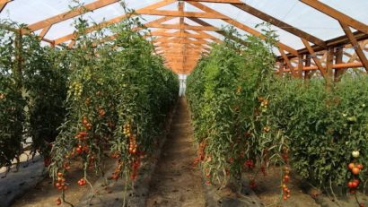 Tinerii fermieri din Tulcea solicită finanţare