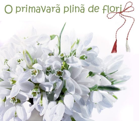 Constănţenele primesc flori de 1 Martie