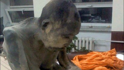 O mumie care „nu este moartă” descoperită în Mongolia