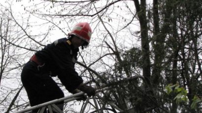 (UPDATE) Pisică rămasă captivă, pe strada Preda Buzescu. Pompierii încearcă să o salveze