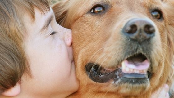 Constanţa are un sistem de alarmare pentru salvarea animalelor aflate în pericol