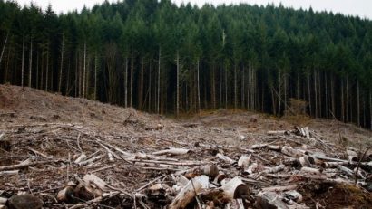 Trimişi în judecată în dosarul retrocedărilor ilegale Hrebenciuc – Adam – Sturdza