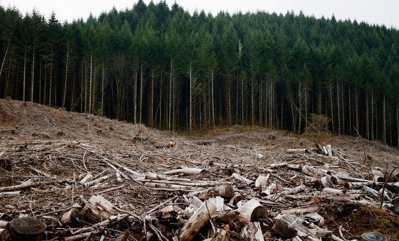Trimişi în judecată în dosarul retrocedărilor ilegale Hrebenciuc – Adam – Sturdza