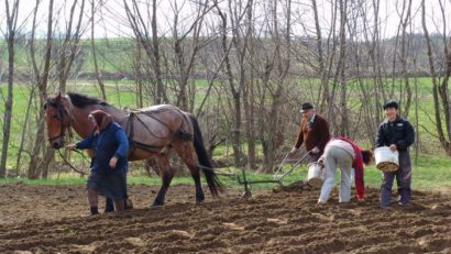 Vremea ţine cu agricultorii