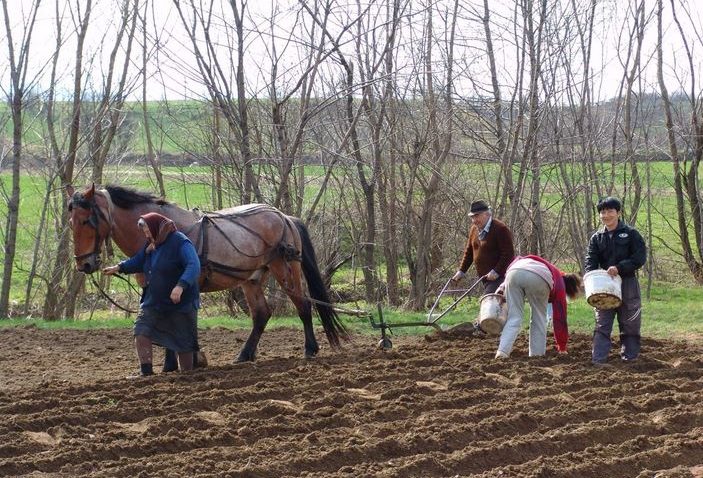 Vremea ţine cu agricultorii