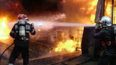 Animale arse de vii într-o gospodărie din Ivrinezu Mare