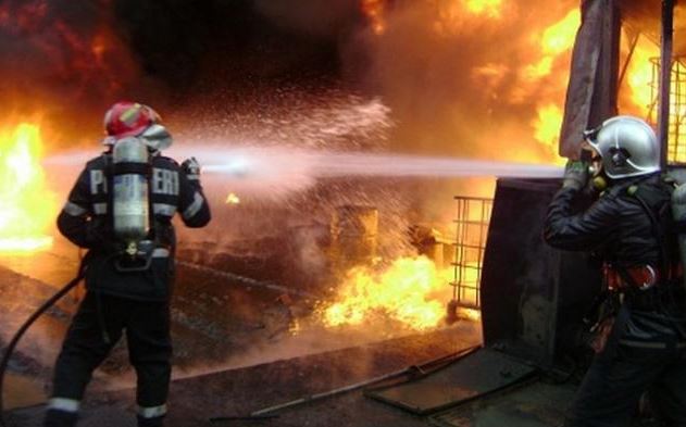 Animale arse de vii într-o gospodărie din Ivrinezu Mare
