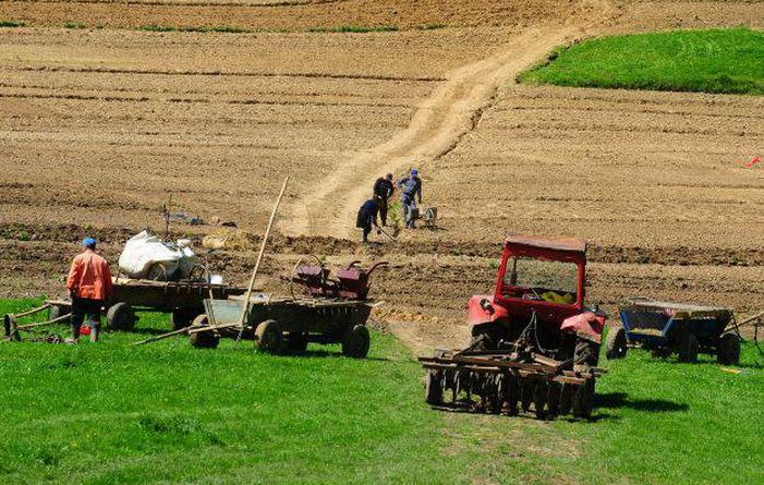 (AUDIO) Agricultorii ar putea scăpa de plata impozitului agricol pe 2013