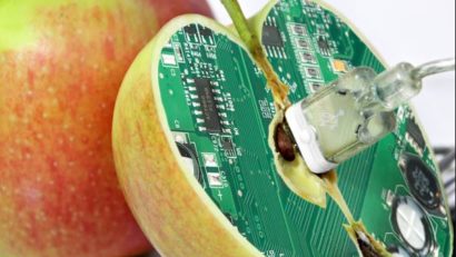 Un nou produs modificat genetic, aproape de galantare