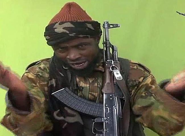 Organizația teroristă Boko Haram a decapitat doi ostatici în Nigeria