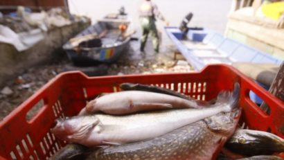 Cum reducem braconajul în Delta Dunării? Părerile specialiştilor sunt împărţite