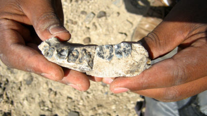 Descoperire arheologică importantă: suntem mai bătrâni cu 400 de milenii
