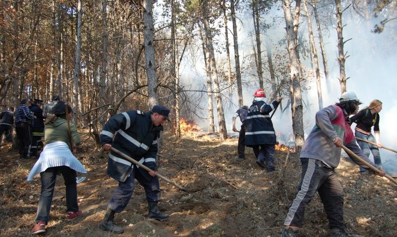 Incendii de vegetație uscată: Ard miriștile la Ciobanu și Cochirleni