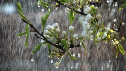 Până duminică, PLOI şi VREME RECE în Dobrogea
