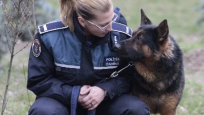 Demonstraţii canine şi prezentări de logistică, de Ziua Poliţiei Române